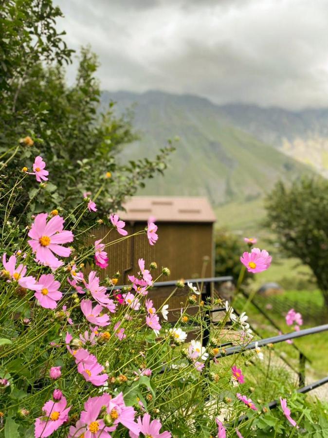 My Space Kazbegi Екстер'єр фото